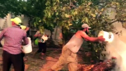 Menderes'te orman yangını (5) - İZMİR