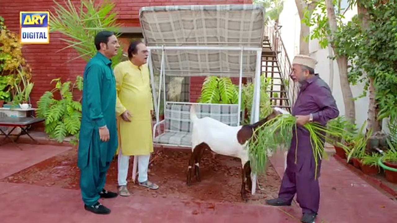 Bulbulay_Season_2_Episode_65_[EID_DAY_1_SPECIAL]_-_1st_August_2020_-_ARY_Digital_Drama(360p)