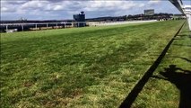 Summerghand wins Goodwood's 2020 Stewards'  Cup