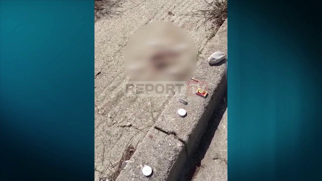 Vranë të riun në Gjirokastër,i zbuluan kamerat, burg autorit dhe shokut të tij, lirohen dy minorenët