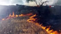 Kahramanmaraş’ta orman yangınında 7 hektar alan zarar gördü