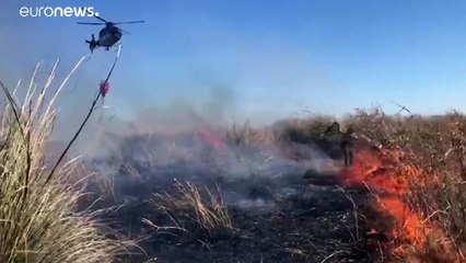 Combate aos incêndios no Delta do rio Paraná