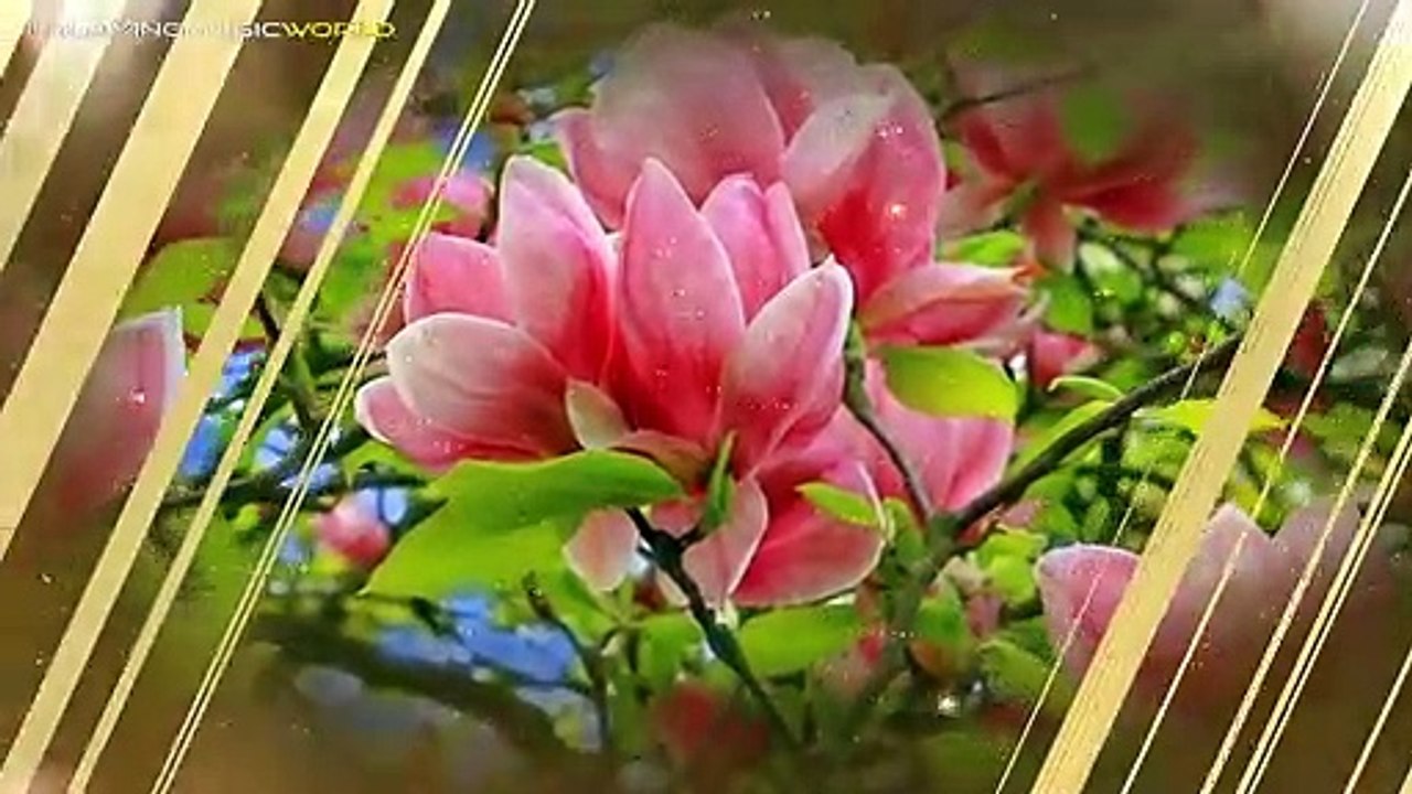 07.Yao Si Ting 姚斯婷 - Good Time 好时光 (Cover version) - English Lyrics