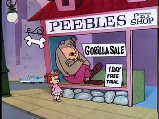 07 - La venta de Magilla (Español Latino)