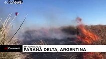 نبرد با زبانه‌های آتش در آرژانتین