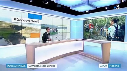 Découverte du week-end : l’Amazonie des Landes