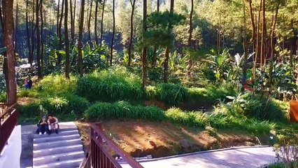 MARCHE DANS LA BELLE VALLÉE DE MALANG (POV), JAVA EST, INDONÉSIE