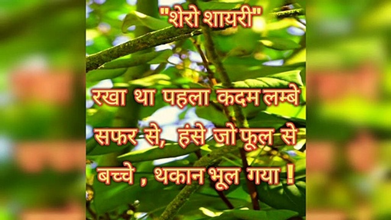 शेरो-शायरी