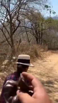 SI TE RÍES PIERDES NIVEL MUY DIFÍCIL 999999% IMPOSIBLE NO REIR) Mejores Videos de Risa ✅⭐