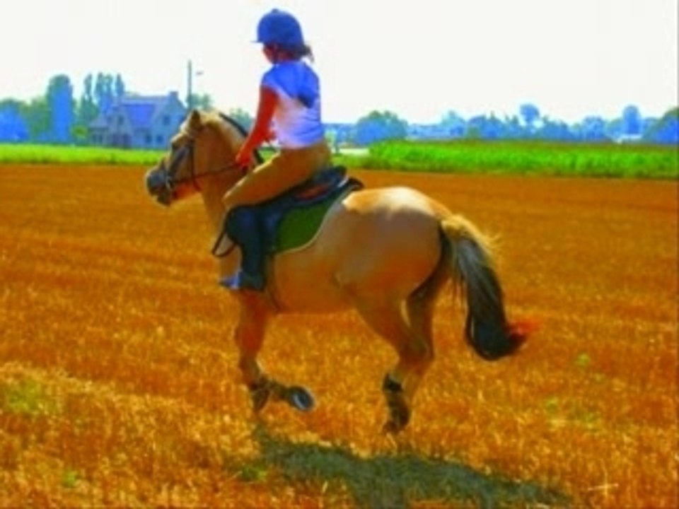 Hermir