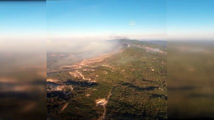 Aydın'da başlayıp Muğla'ya kadar ulaşan orman yangınını söndürme çalışmaları sürüyor - MUĞLA
