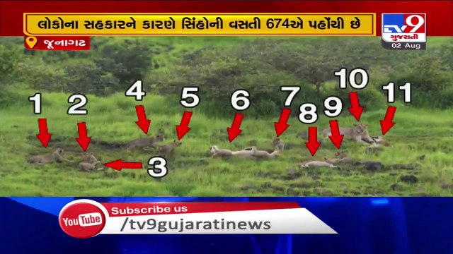 DCF Sasan-Gir shares pictures of the Asiatic lions roaming freely in the Saurashtra peninsula