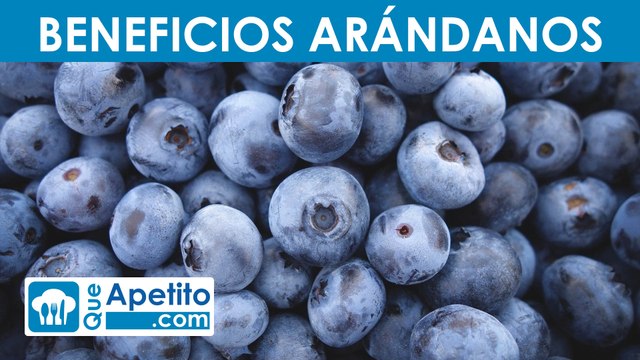 8 propiedades y beneficios de los arándanos |QueApetito