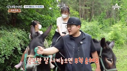 ★연 매출 5억★ 당나귀로 부자된 주인공!