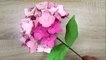 Origami facile : Fleur  d'Hortensia (Hydrangea) avec  feuilles et tige