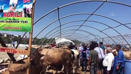 Kurban pazarlarında çadırlar sökülüyor - İSTANBUL