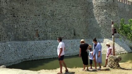 Tarihi Mamure Kalesi'ni çevreleyen kanaldaki sevimli kaplumbağalar ilgi çekiyor - MERSİN