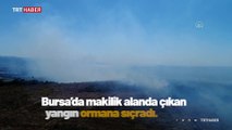 Bursa'da makilik alanda çıkan yangın ormana sıçradı
