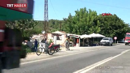 İzmir'de de orman yangını başladı