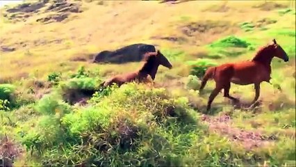 best brain relax music