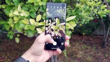 Motorola Edge - Reseña a profundidad en español