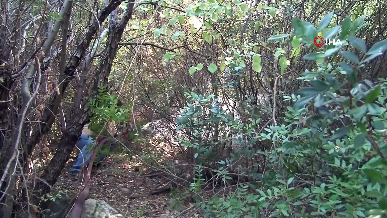 İzmir'deki orman yangınında alevler mahalleyi tehdit ediyor