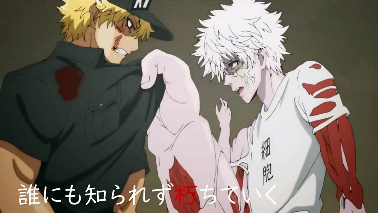 Hataraku Saibou - MAD | AnimeEcTv