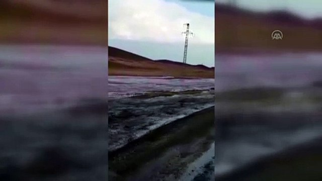 Sel suları tarım arazilerine zarar verdi - AĞRI