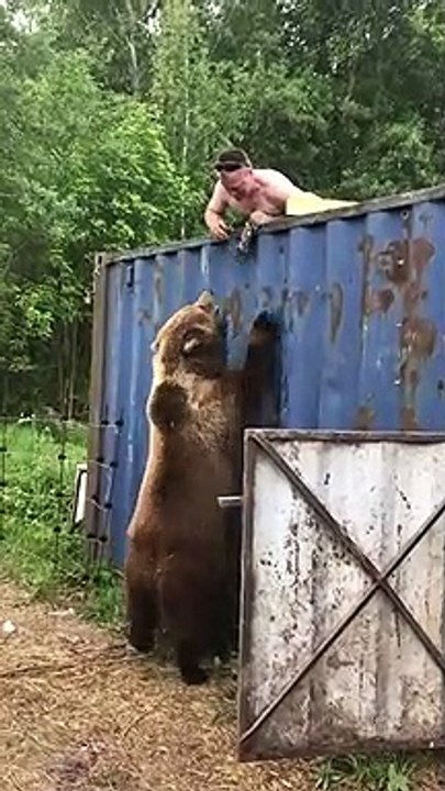 Ce russe joue avec un ours sauvage... pas si sauvage
