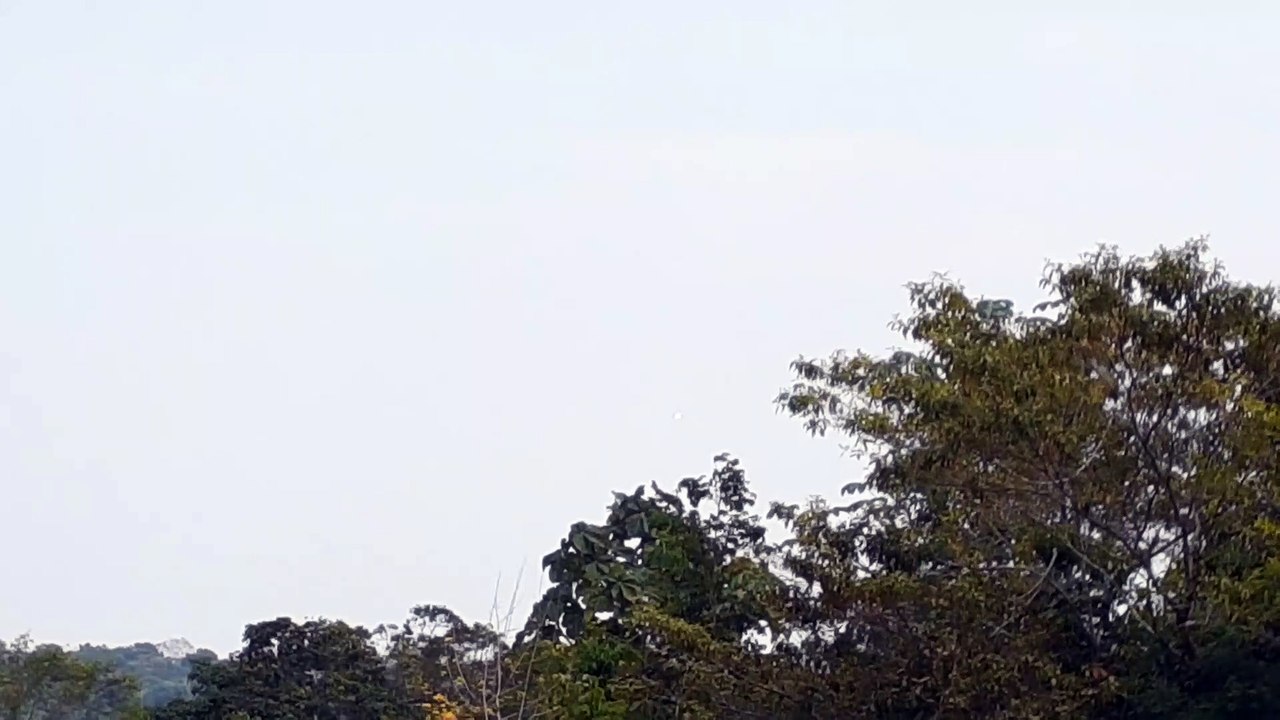 [SBEG Spotting]Airbus A320NEO PR-YSE na final antes de pousar em Manaus vindo de Campinas(02/08/2020)