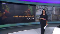 نشرتكم- إيلون ماسك: كائنات فضائية بنّت الأهرامات.. ومصريون: ننتظرك