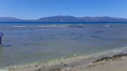 Ora News - Vlorë, dyshohet i mbytur në det 75-vjeçari