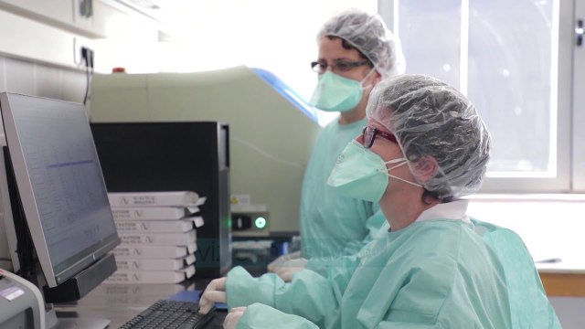 Liberalizohen testet serologjike. Ministria: Nuk zbulojne nese ke apo jo koronavirus - Vizion Plus