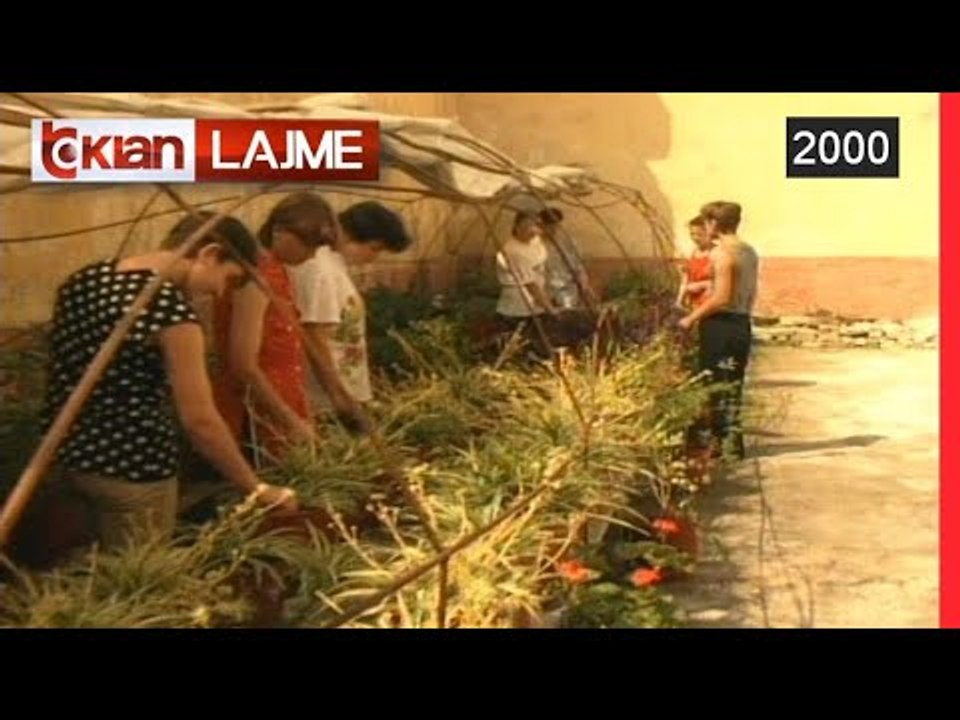 Lulet e Burgut 313 (9 Gusht 2000)