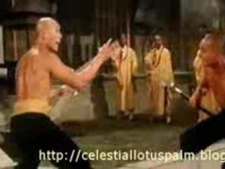 Top Training Scenes of ALl-Time: The 36th Chamber of Shaolin
