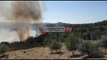 Report TV - Zjarri përfshin ullishten në Patos, digjen 300 rrënjë, vatrat rrezikojnë banesat