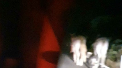 El incendio en Robledo de Chavela fue provocado por un accidente de moto