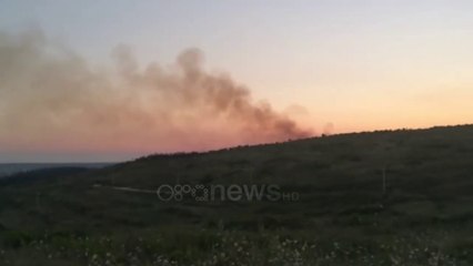 Ora News - Divjakë, flakët përfshijnë kodrat me ullishte