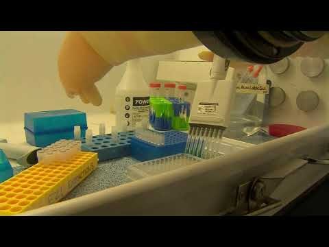 Mbi 5 milion euro për 90 mijë testet e kryera deri më tani