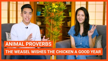 Animal Proverbs: The Weasel Wishes The Chicken A Good Year | Intermediate Lesson | ChinesePod (v)
