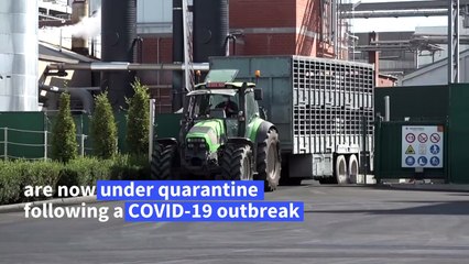 Workers of a Belgian slaughterhouse quarantined after a surge in cases