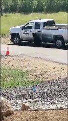 Bear Breaks into Truck and Leaves with Lunch