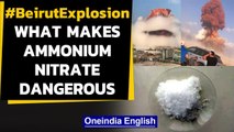 Beirut Explosion:  What makes Ammonium Nitrate explode, how dangerous is it | Oneindia News