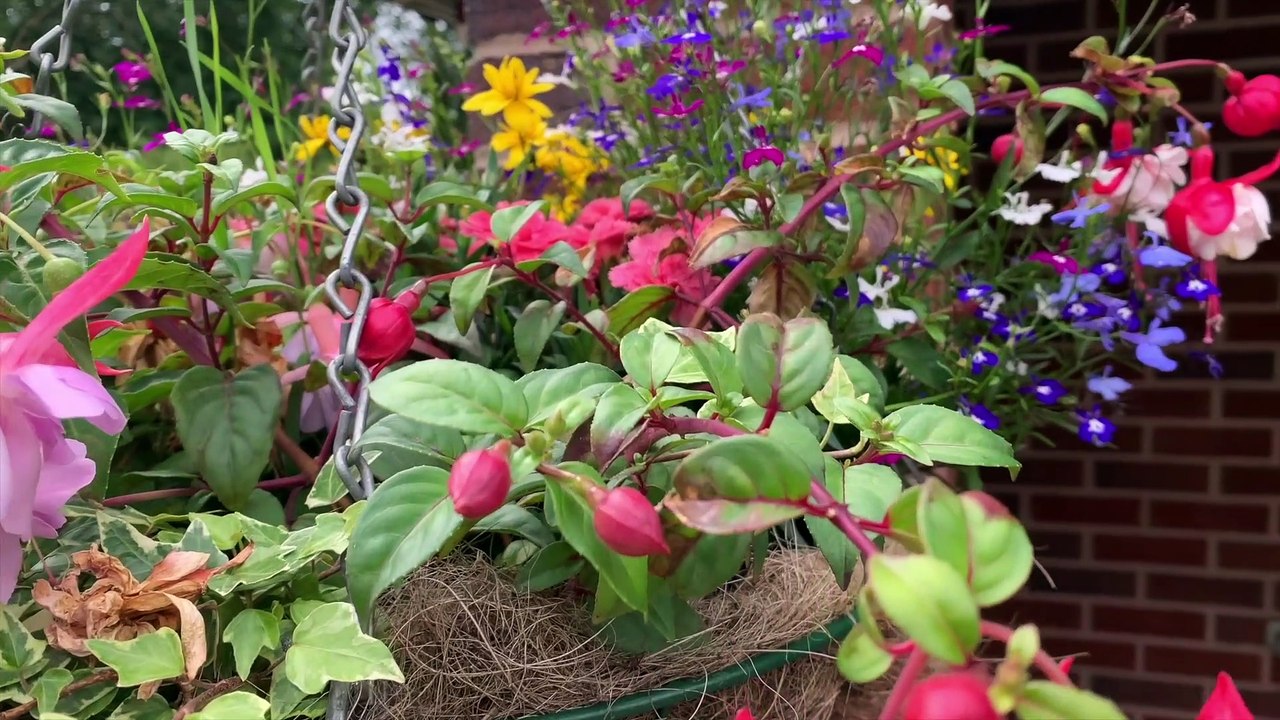 TIPS TO CREATE YOUR GARDEN PARADISE
