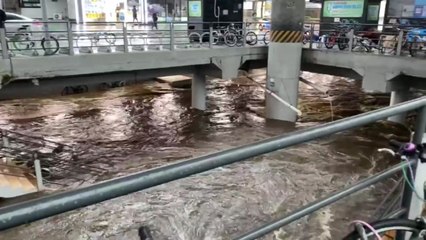 강원도·수도권 곳곳 '물 폭탄'...YTN 접수된 제보 영상들 / YTN