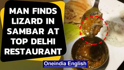 Man finds lizard in Sambhar at top Delhi restaurant, video goes viral Oneindia News