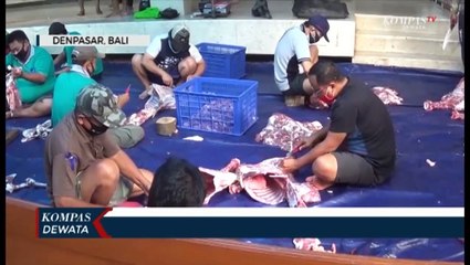 Pemotongan Hewan Qurban DI masa Pandemi