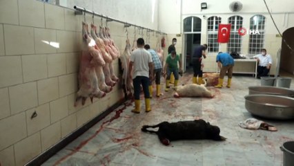 Şanlıurfalı ihtiyaç sahibi ailelere 600 kurbanlık