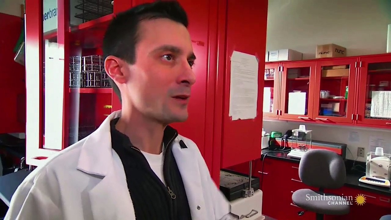 Stories from the Vaults: Going, Going, Gone