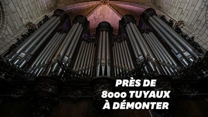 Pour le grand orgue de Notre-Dame, tout commence aujourd'hui
